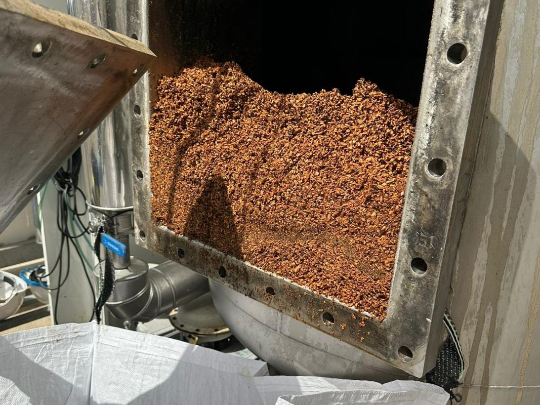 Antioxidantes de las Nueces de Nerpio. CLaMber. IRIAF